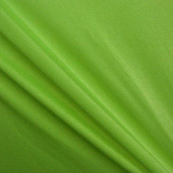 Shiny Finish Milliskin Nylon Spandex Fabric (Moss Green) | (4 Way Stretch/Per Yard)
