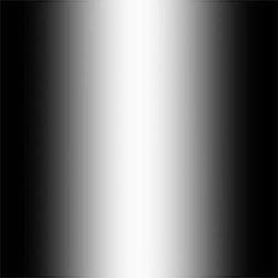 Ombre Print Mesh Fabric (Black/White) | (4 Way Stretch/Per Yard)