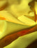 Shiny Finish Milliskin Nylon Spandex Fabric (Samba Yellow) | (4 Way Stretch/Per Yard)