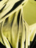 Matte Finish Milliskin Nylon Spandex Fabric (Olive Green) | (4 Way Stretch/Per Yard)