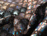 Silver & Black Mermaid Fish Scale on Hologram Foil Spandex w/ Dots Fabric | (4 Way Stretch/Per Yard)