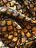 Gold & Black Mermaid Fish Scale on Hologram Foil Spandex w/ Dots Fabric | (4 Way Stretch/Per Yard)