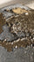 Reversible Gold & Silver Sequins Fabric | (2 Way Stretch/Per Yard)