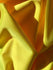 Shiny Finish Milliskin Nylon Spandex Fabric (Samba Yellow) | (4 Way Stretch/Per Yard)