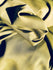 Matte Finish Milliskin Nylon Spandex Fabric (Olive Green) | (4 Way Stretch/Per Yard)