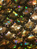 Gold & Black Mermaid Fish Scale on Hologram Foil Spandex w/ Dots Fabric | (4 Way Stretch/Per Yard)