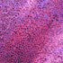 Holographic Foil Classic Avatar Pattern Spandex | (4 Way Stretch/Per Yard) | Multiple Colors