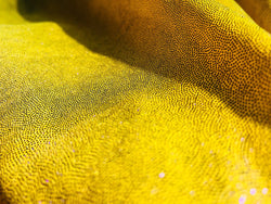 Purple Matrix Dot on Yellow Nylon Spandex Fabric | (4 Way Stretch/Per Yard)