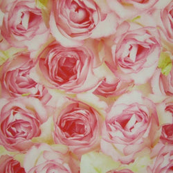 Roses on Printed Mesh Fabric | (4 Way Stretch/Per Yard)