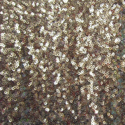 2mm Sequins on Poly Mesh Fabric | (2 Way Stretch/Per Yard)