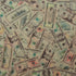 Cash Money on Printed Mesh Fabric | (4 Way Stretch/Per Yard)