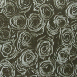 Roses on Printed Mesh Fabric | (4 Way Stretch/Per Yard)