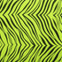 Exotic Zebra Print on Nylon Spandex Fabric (Lime Green) | (4 Way Stretch/Per Yard)