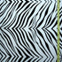 Exotic Zebra Print on Nylon Spandex Fabric (White) | (4 Way Stretch/Per Yard)
