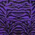Exotic Tiger Print on Nylon Spandex Fabric (Purple/Black) | (4 Way Stretch/Per Yard)