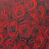 Roses on Printed Poly Mesh Fabric | (4 Way Stretch/Per Yard)