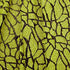 Metallic Foil Abstract Print on Black Poly Spandex Fabric (Lemon Yellow/Black) | (4 Way Stretch/Per Yard)
