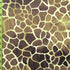 Giraffe Print on Poly Spandex Fabric | (4 Way Stretch/Per Yard)