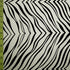 Exotic Zebra Print on Nylon Spandex Fabric (White/Black) | (4 Way Stretch/Per Yard)