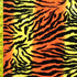 Exotic Tiger Print on Crushed Velvet Fabric | (2 Way Stretch/Per Yard)