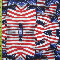 Liberty of America Flag Print on Nylon Spandex Fabric | (4 Way Stretch/Per Yard)