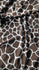 Giraffe Print on Poly Spandex Fabric (Coffee/White) | (4 Way Stretch/Per Yard)