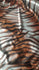 Exotic Tiger Print on Poly Spandex Fabric | (4 Way Stretch/Per Yard)