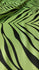 Exotic Zebra Print on Nylon Spandex Fabric (Lime Green) | (4 Way Stretch/Per Yard)