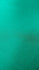 Shiny Finish Milliskin Nylon Spandex Fabric (Kelly Green) | (4 Way Stretch/Per Yard)