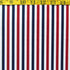 Vertical Stripes on Nylon Spandex Fabric (Multicolor) | (4 Way Stretch/Per Yard)
