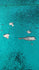 Reversible 3mm Sequins Fabric (Turquoise/Silver) | (2 Way Stretch/Per Yard)