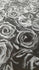 Roses on Printed Mesh Fabric | (4 Way Stretch/Per Yard)