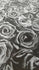 Roses on Printed Mesh Fabric | (4 Way Stretch/Per Yard)