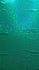 Kelly Green & Green Shattered Glass w/ Holographic Foil Spandex Fabric | (4 Way Stretch/Per Yard)