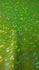 Silver & Neon Green Shattered Glass w/ Holographic Foil Spandex Fabric | (4 Way Stretch/Per Yard)
