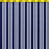 Vertical Stripes on Poly Spandex Fabric (White/Navy Blue) | (4 Way Stretch/Per Yard)