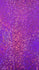 Purple Shattered Glass w/ Holographic Foil on Nylon Spandex Fabric | (4 Way Stretch/Per Yard)