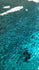 Reversible 3mm Sequins Fabric (Turquoise/Silver) | (2 Way Stretch/Per Yard)