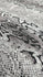 Snake Skin Print on Poly Spandex Fabric | (4 Way Stretch/Per Yard)
