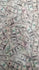 Cash Money on Printed Mesh Fabric | (4 Way Stretch/Per Yard)