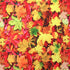 Thanksgiving Fall Leaves Print on Poly Spandex Fabric (4 Way Stretch/Per Yard)