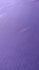Stretch Sheer Mesh Fabric (Plum) | (4 Way Stretch/Per Yard)