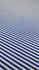 Vertical Stripes on Poly Spandex Fabric (White/Royal Blue) | (4 Way Stretch/Per Yard)