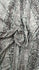 Snake Skin Print on Poly Spandex Fabric | (4 Way Stretch/Per Yard)