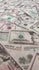 Cash Money on Printed Mesh Fabric | (4 Way Stretch/Per Yard)