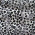 Spotted Printed Lace Fabric (Black/White) | (2 Way Stretch/Per Yard)