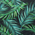 Palm Leaf on Poly Mesh Fabric | (4 Way Stretch/Per Yard)