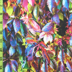 Leaf Gradient Print on Poly Spandex Fabric | (4 Way Stretch/Per Yard)