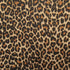 Leopard Print on Poly Mesh Fabric | (4 Way Stretch/Per Yard)