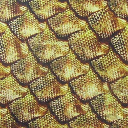 Rugged Fishscale Print on Poly Spandex Fabric | (4 Way Stretch/Per Yard)